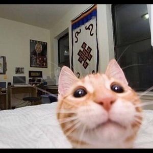 Meet your Posher, Eduardo